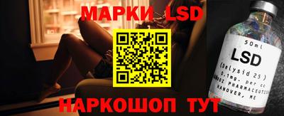гидра Новозыбков