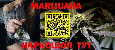 сатива Новодвинск