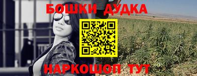 гидра Новозыбков